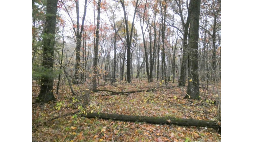 Maple Grove Lot 4 Suamico, WI 54173 by Gojimmer Real Estate - gojimmer@yahoo.com $127,900