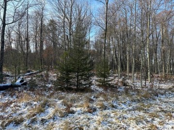 Jankowski Road Lot 2, Stephenson, WI 54104