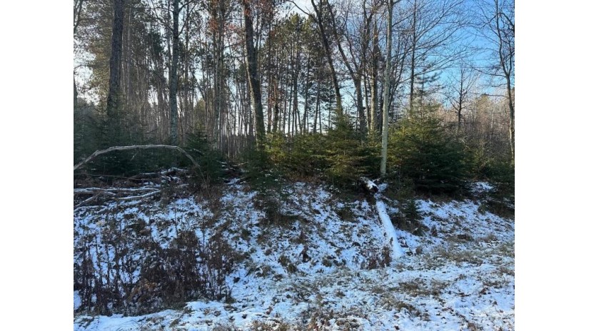 Jankowski Road Lot 2 Stephenson, WI 54104 by Venture Real Estate Co $105,900