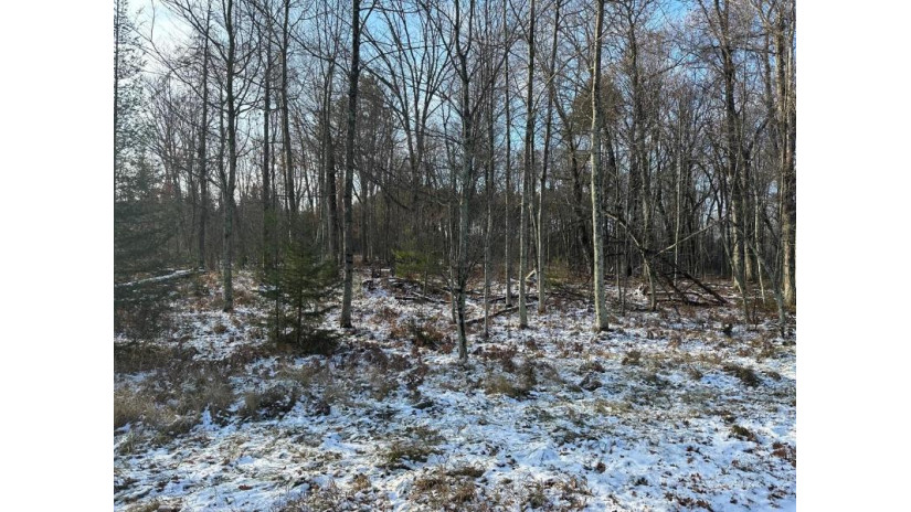 Jankowski Road Lot 3 Stephenson, WI 54104 by Venture Real Estate Co $110,900