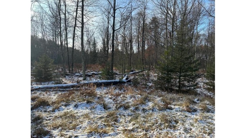 Jankowski Road Lot 3 Stephenson, WI 54104 by Venture Real Estate Co $110,900