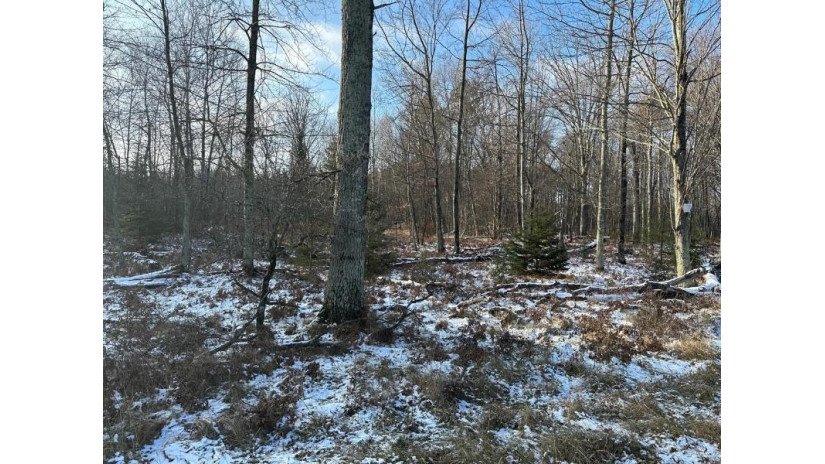 Jankowski Road Lot 3 Stephenson, WI 54104 by Venture Real Estate Co $110,900