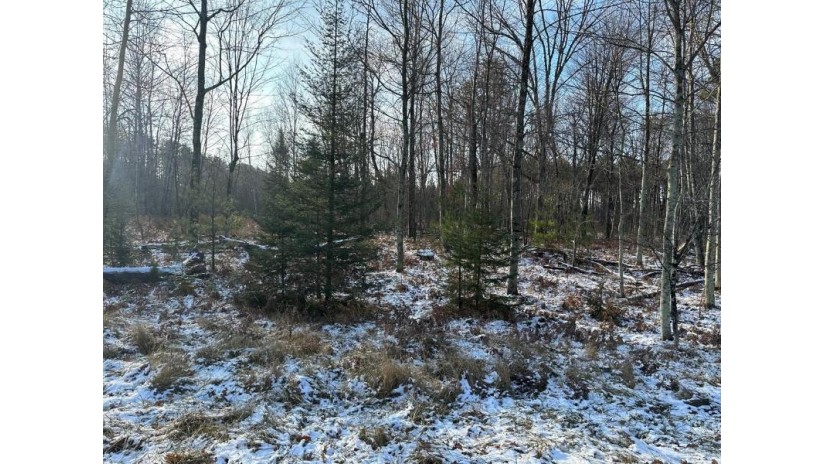 Jankowski Road Lot 3 Stephenson, WI 54104 by Venture Real Estate Co $110,900