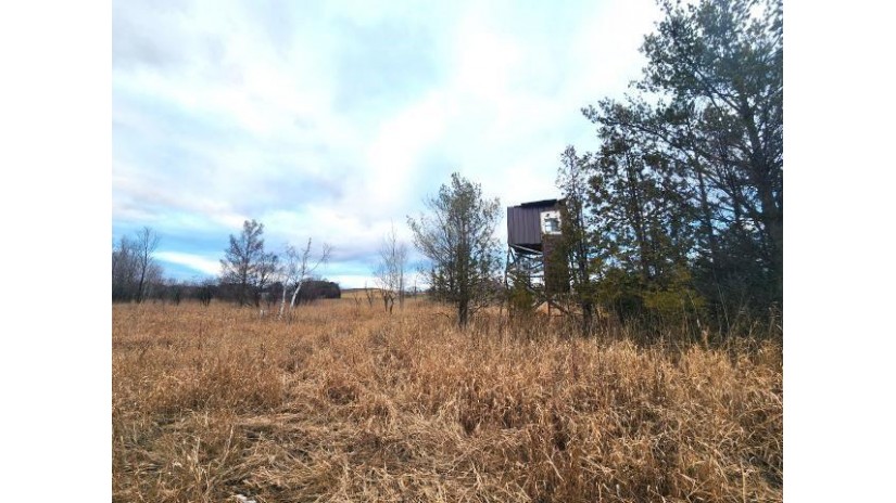 N3568 Town Line Road Lot 3 Waukechon, WI 54166 by RE/MAX North Winds Realty, LLC $184,900