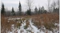 County  Road Z Hutchins, WI 54450 by Whitetail Dreams Real Estate, LLC $275,000