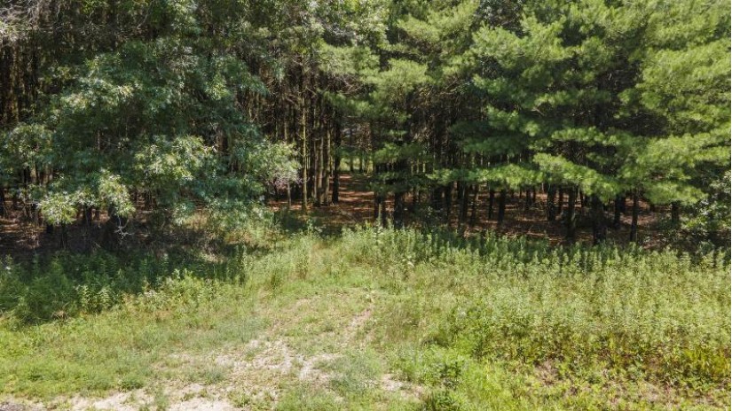 19th Court Lot 1 Neshkoro, WI 54960 by First Weber, Inc. $37,500