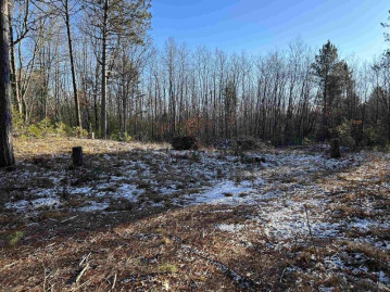 W1561 Hawks Nest Trail, Menominee, WI 54135-0000