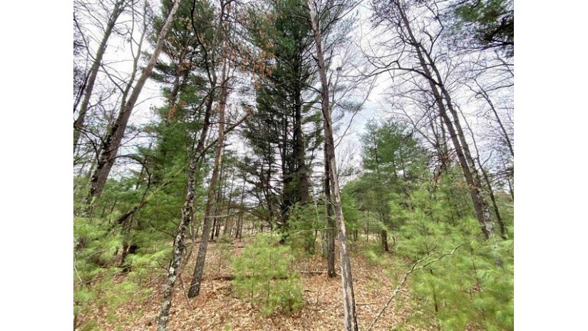 Dutch Rush Run Lot 10 Stephenson, WI 54114 by Bigwoods Realty, Inc. $64,900