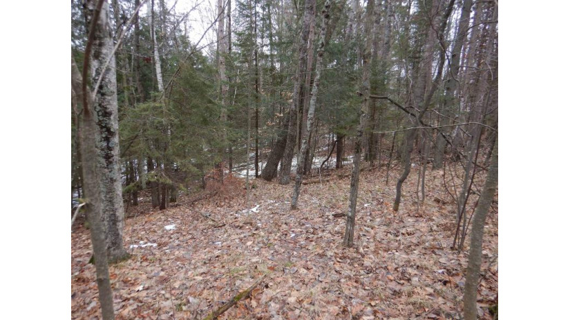 N Marl Lake Road Brazeau, WI 54161 by Trimberger Realty, Llc - CELL: 920-639-2444 $29,900