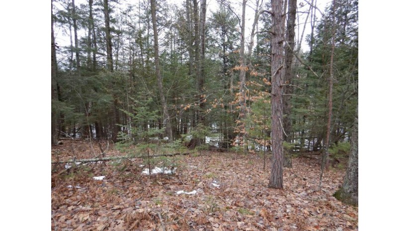 N Marl Lake Road Brazeau, WI 54161 by Trimberger Realty, Llc - CELL: 920-639-2444 $29,900