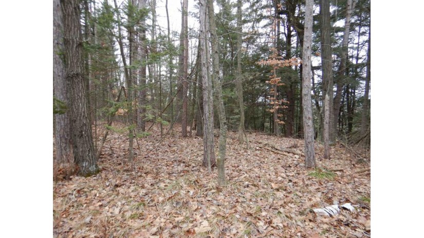 N Marl Lake Road Brazeau, WI 54161 by Trimberger Realty, Llc - CELL: 920-639-2444 $29,900