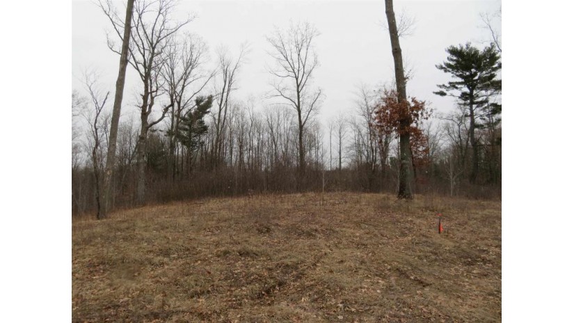 Riverview Drive Lot 5 Iola, WI 54945 by Homestead Realty Sales - Iola, LLC $23,900