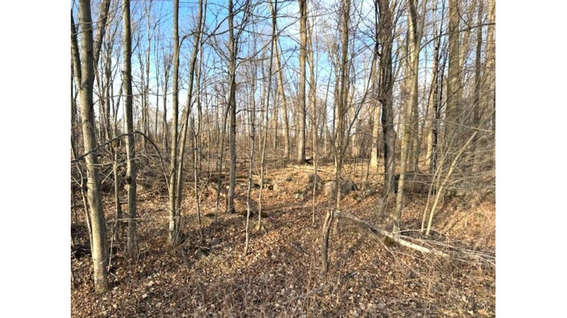 Thorn Apple Drive Lot 2 Wittenberg, WI 54499 by Shorewest Realtors $26,900