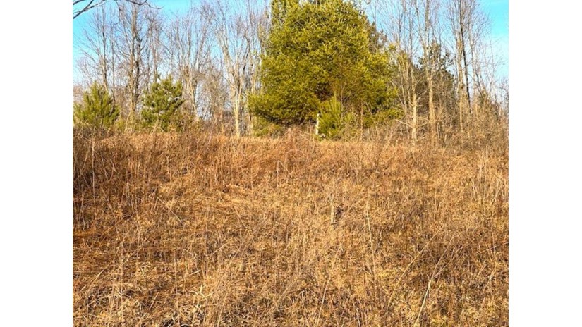 Thorn Apple Drive Lot 6 Wittenberg, WI 54499 by Shorewest Realtors $29,900