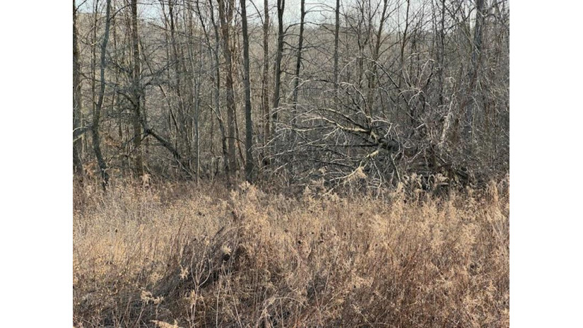 Thorn Apple Drive Lot 6 Wittenberg, WI 54499 by Shorewest Realtors $29,900