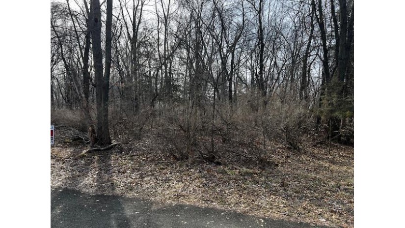 Moccasin Trail Lot 2 Mecan, WI 53949 by Adashun Jones, Inc. - OFF-D: 920-745-8095 $12,900