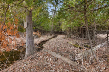 Stoney Creek Lane Lot 10, Little River, WI 54153