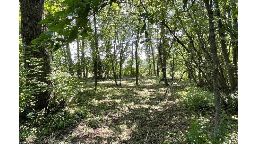 Bramschreiber Road Little Suamico, WI 54141 by Trimberger Realty, Llc - CELL: 920-639-2444 $49,900