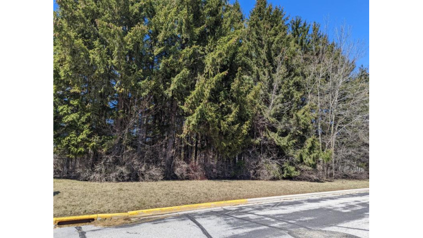 404 Deerview Drive Lot 12 Reedsville, WI 54230 by Coldwell Banker Real Estate Group $27,500