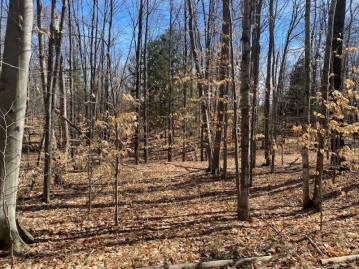 Tower Lane Lot 21, Riverview, WI 54149