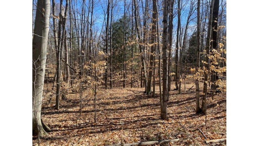 Tower Lane Lot 21 Riverview, WI 54149 by Shorewest Realtors $26,900