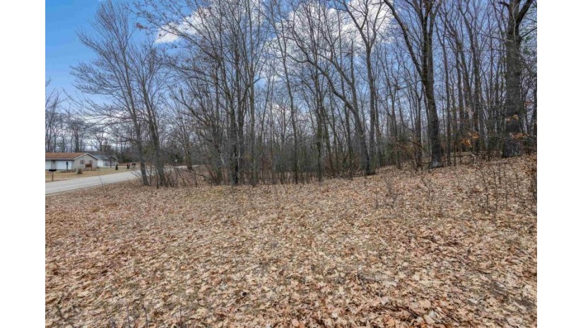 N White Potato Lake Road Lot 2 Brazeau, WI 54161 by Venture Real Estate Co $89,000