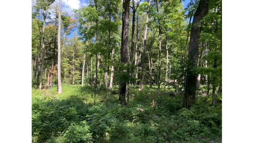 S Shore Drive Lot 40 Goodman, WI 54125 by Whitetail Dreams Re Dba Waterfront Dreams $29,900