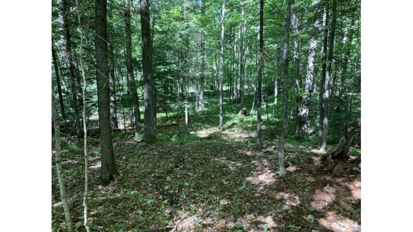 S Shore Drive Lot 40 Goodman, WI 54125 by Whitetail Dreams Re Dba Waterfront Dreams $29,900