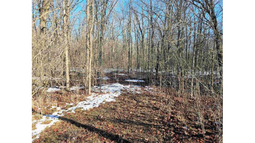 Buttercup Road Poy Sippi, WI 54963 by Re/Max On The Water - OFF-D: 920-379-6843 $25,000