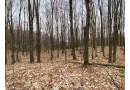 James Bong Way Lot 2 & 3, Freedom, WI 54566 by Shorewest Realtors $55,000