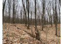 James Bong Way Lot 2 & 3, Freedom, WI 54566 by Shorewest Realtors $55,000