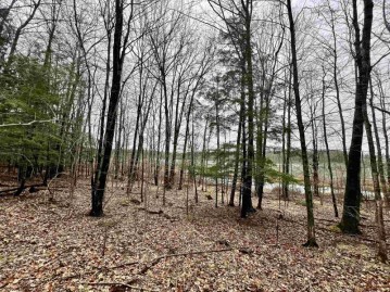 Creek Road Lot 3, Middle Inlet, WI 54177
