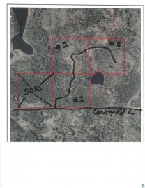 40 acre Lot # 2 County Rd L, Hawthorne, WI 54874