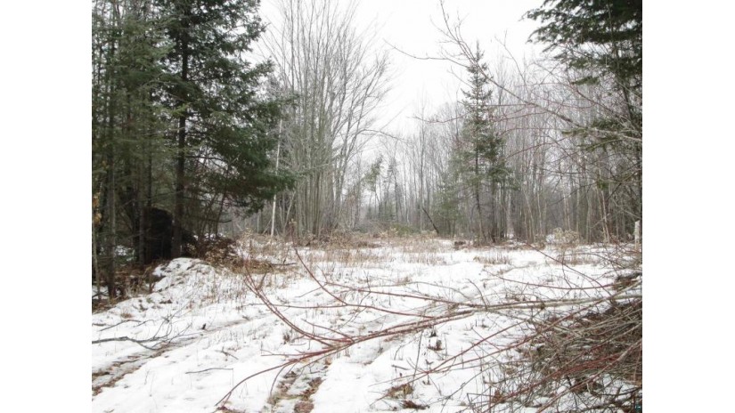 40 acre Lot 1 County Rd L Hawthorne, WI 54874 by Adolphson Real Estate - Cloquet $99,000
