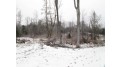 40 acre Lot #3 County Rd L Hawthorne, WI 54874 by Adolphson Real Estate - Cloquet $99,000