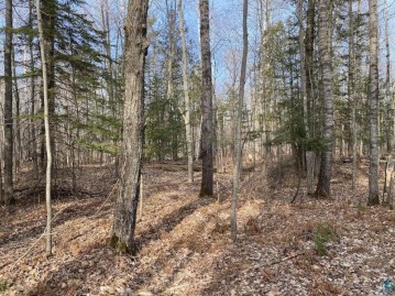 South 15 acres Mckinley Rd, Washburn, WI 54891