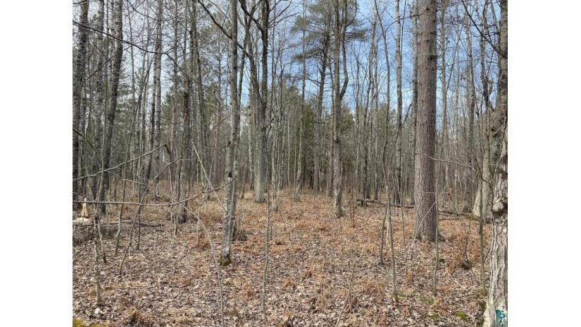 North 15 acres Mckinley Rd Washburn, WI 54891 by Blue Water Realty, Llc $75,000