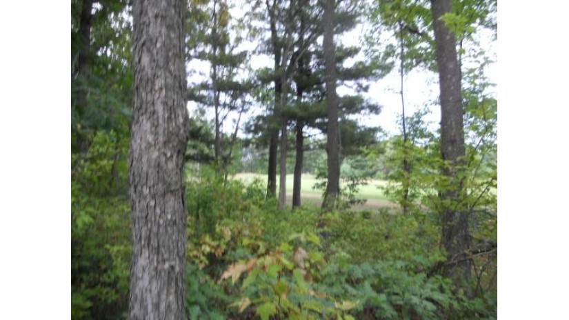 326 Dogwood Ln Lake Delton, WI 53940 by Cold Water Realty, Llc $45,900