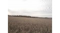 33.5 AC River Rd DeForest, WI 53532 by Exit Realty Hgm $900,000