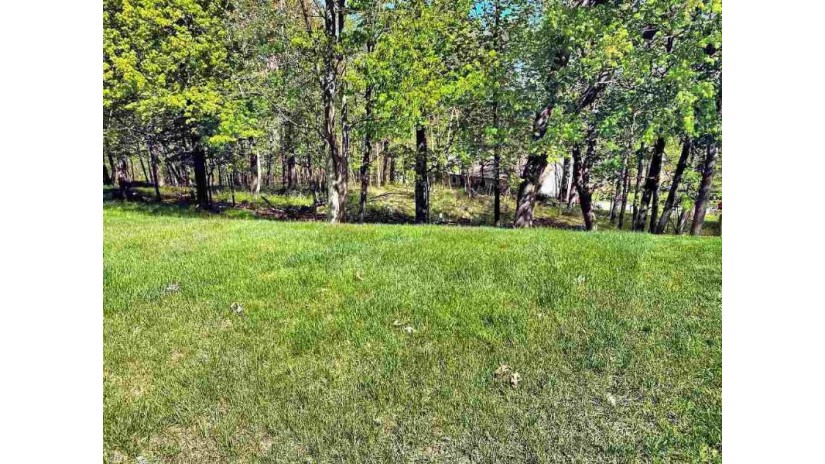29 Eagles Nest Lake Delton, WI 53913 by First Weber Inc - HomeInfo@firstweber.com $35,000