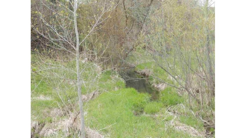 LOT 20 Spring Brook Hills Adrian, WI 54660 by Century 21 Affiliated $55,900