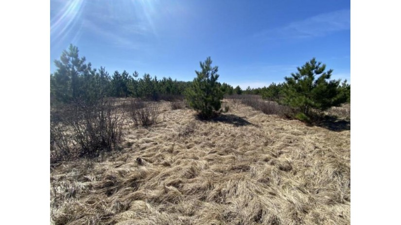 60 AC1 Adams Avenue Rome, WI 54457 by United Country Midwest Lifestyle Properties $195,000