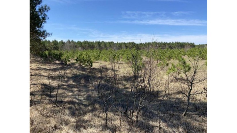 60 AC2 Adams Ave Rome, WI 54457 by United Country Midwest Lifestyle Properties $195,000