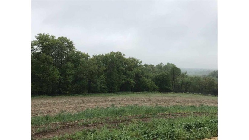 LOT 10 Ridge Point Estates Mineral Point, WI 53565 by All American Real Estate, Llc $89,000
