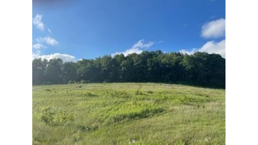 LOT 4 Pheasant Tr Richland, WI 53581 by Century 21 Complete Serv Realty $28,500