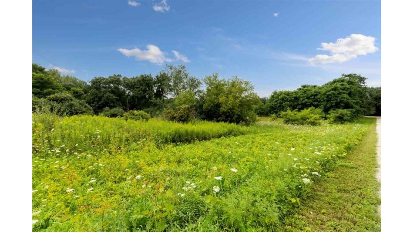 LOT 2 Apple Ln Brooklyn, WI 54941 by Better Homes And Gardens Real Estate Special Prope $26,500