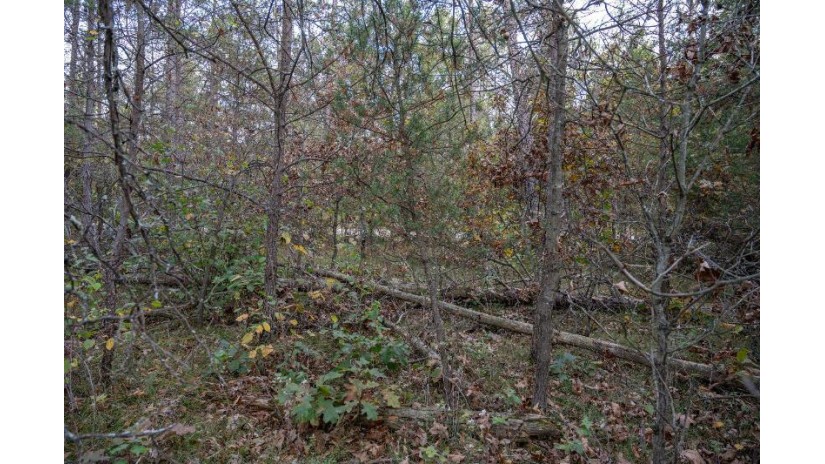 LOTS 237 & 242 Woodland Trail Germantown, WI 53950 by Castle Rock Realty Llc - Cell: 608-548-6900 $28,000