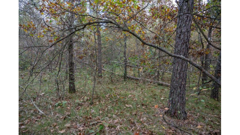 LOTS 237 & 242 Woodland Trail Germantown, WI 53950 by Castle Rock Realty Llc - Cell: 608-548-6900 $28,000