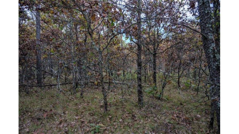 LOTS 237 & 242 Woodland Trail Germantown, WI 53950 by Castle Rock Realty Llc - Cell: 608-548-6900 $28,000