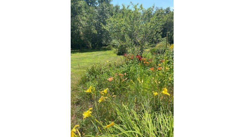 .72 AC W South St Princeton, WI 54968 by Century 21 Properties Unlimited $19,900
